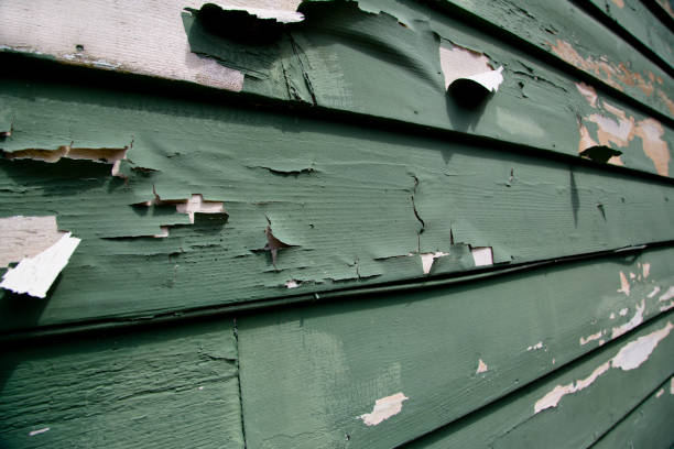 Best Custom Trim and Detailing for Siding  in Lla Lla, WA