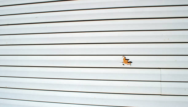 Best Storm Damage Siding Repair  in Lla Lla, WA